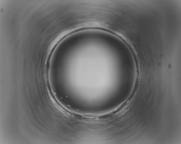 X0000055991342200509021628