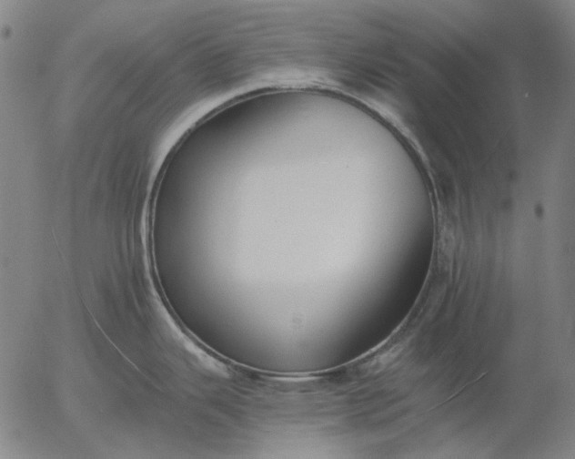 X0000055991343200509021628