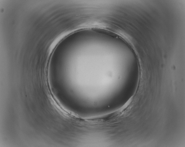 X0000055991344200509021628