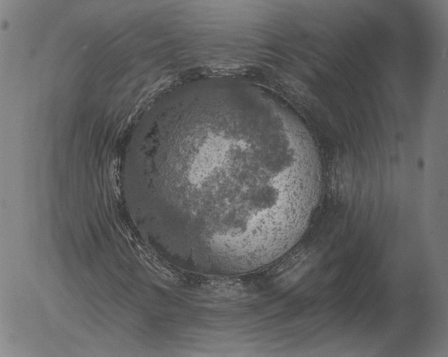 X0000055991346200509021628