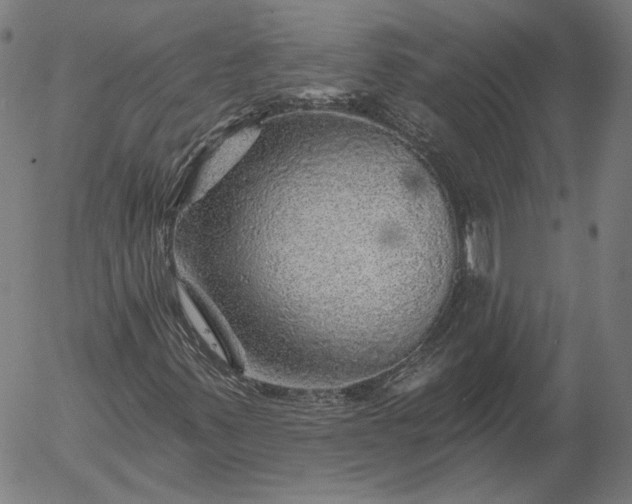 X0000055991347200509021628