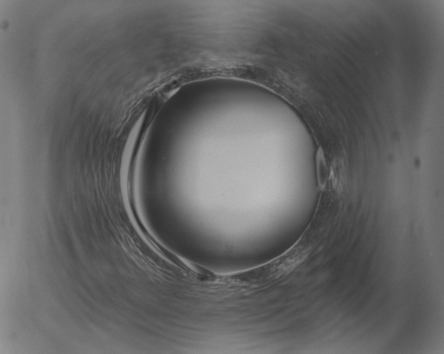 X0000055991348200509021628