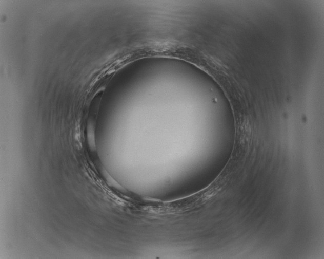 X0000055991349200509021628