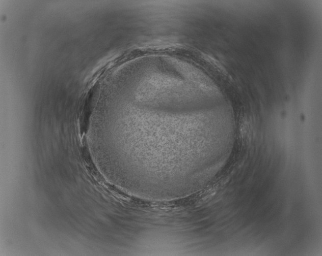 X0000055991350200509021628