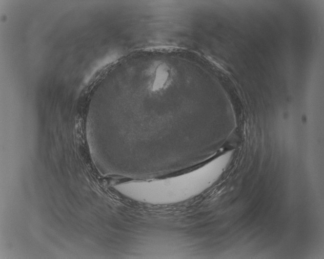 X0000055991351200509021628