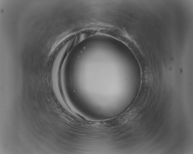 X0000055991352200509021628