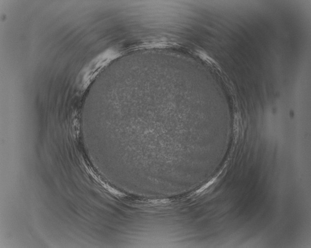 X0000055991353200509021627