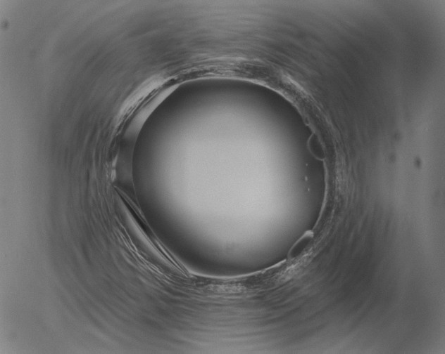 X0000055991354200509021627