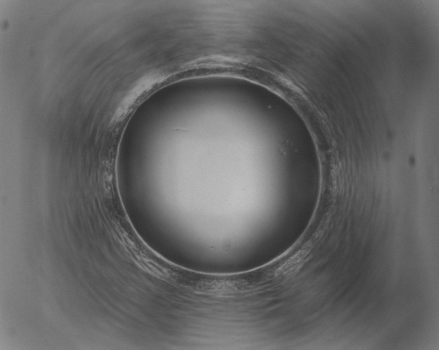 X0000055991355200509021627