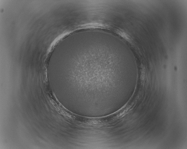 X0000055991358200509021627