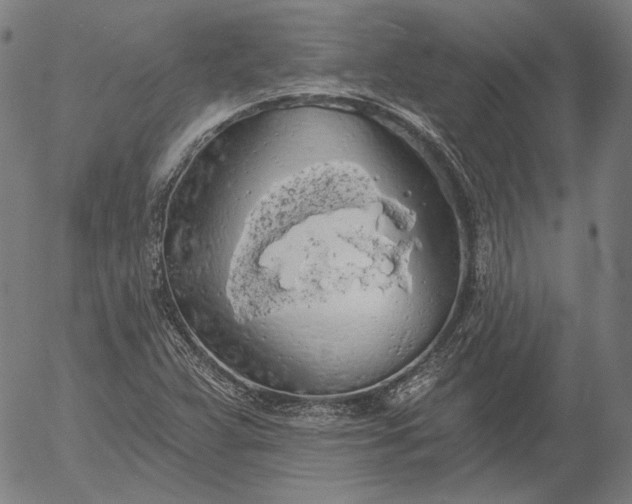 X0000055991359200509021627