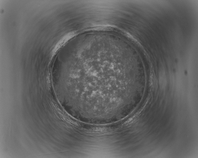 X0000055991362200509021627