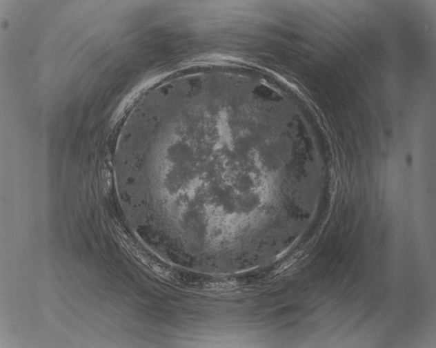 X0000055991363200509021627