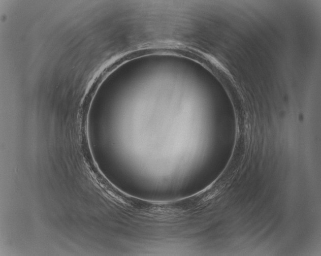 X0000055991364200509021627