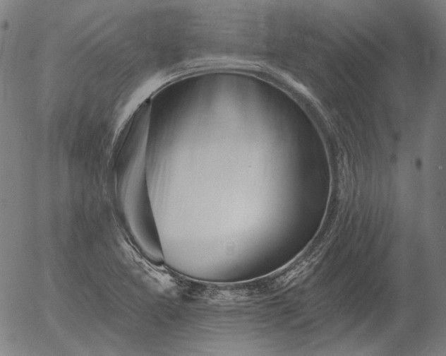 X0000055991365200509021627