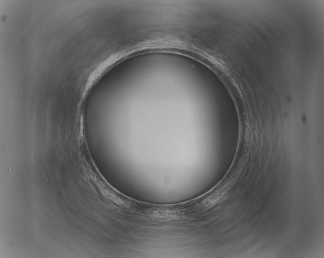 X0000055991366200509021627