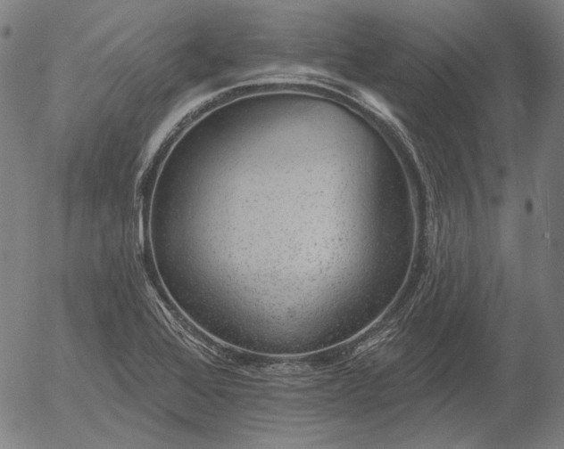 X0000055991368200509021627