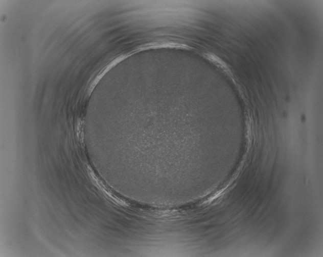 X0000055991369200509021627