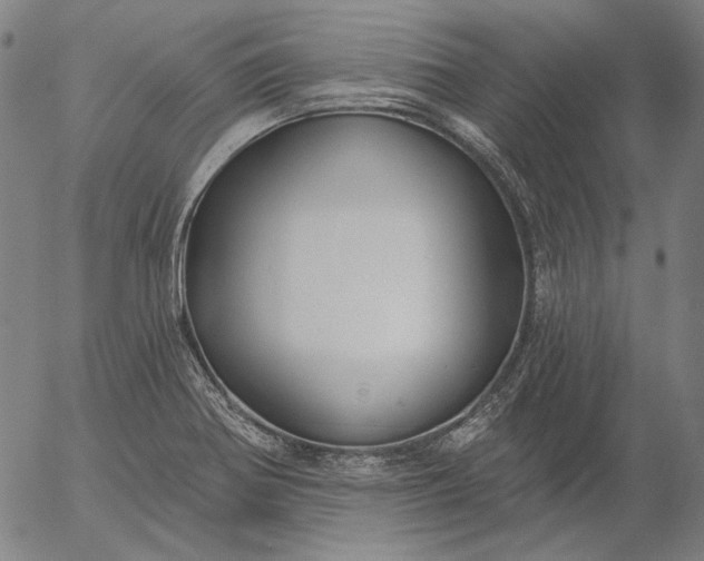 X0000055991370200509021627