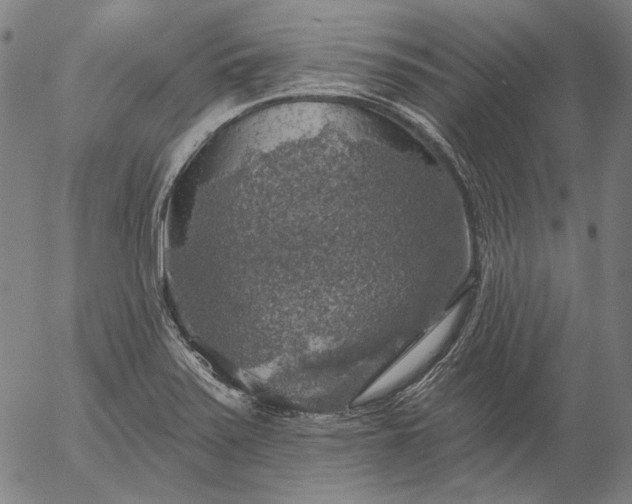 X0000055991371200509021627