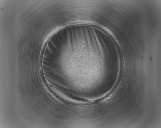 X0000055991373200509021627