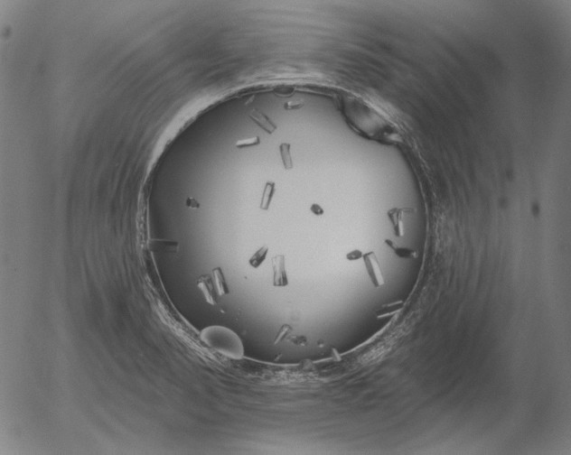 X0000055991374200509021627