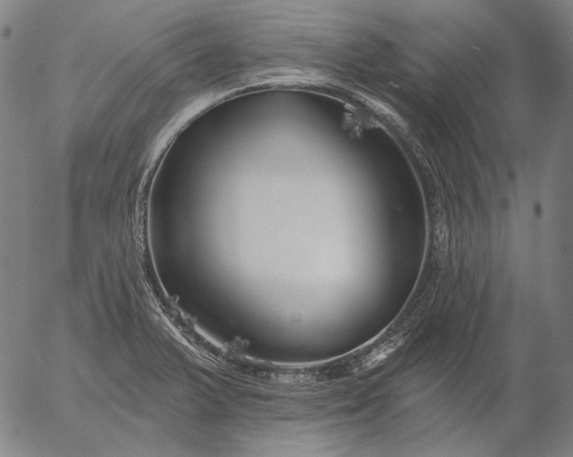 X0000055991375200509021627