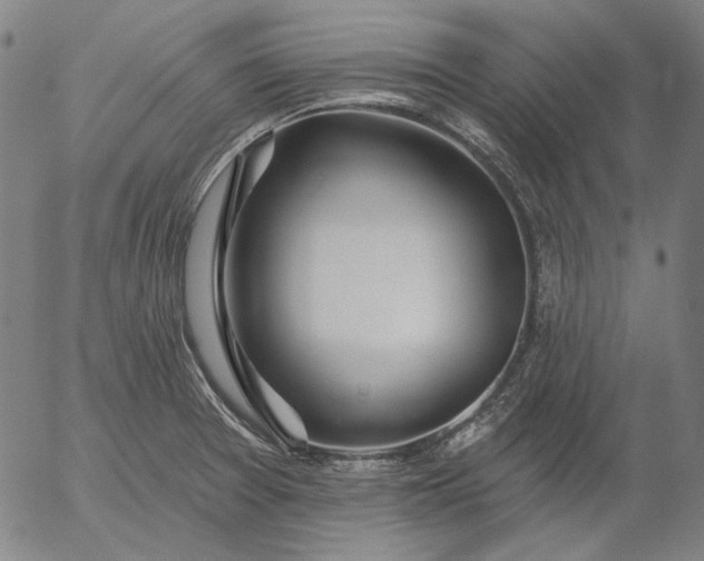 X0000055991377200509021627