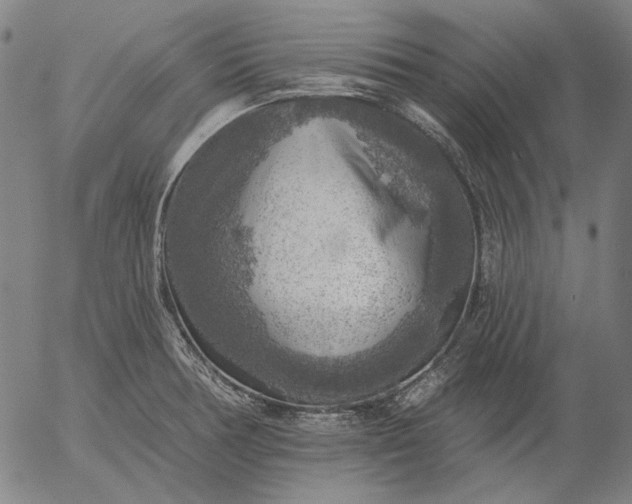 X0000055991378200509021627