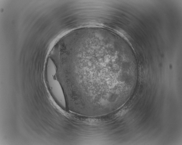 X0000055991379200509021627