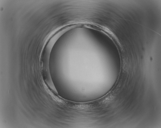 X0000055991380200509021627