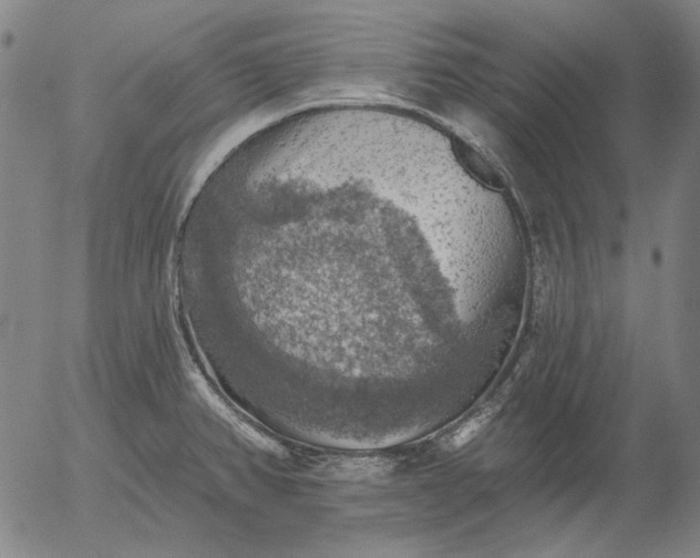 X0000055991382200509021627