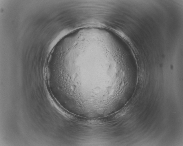 X0000055991383200509021627