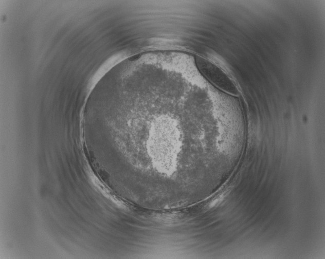 X0000055991386200509021627