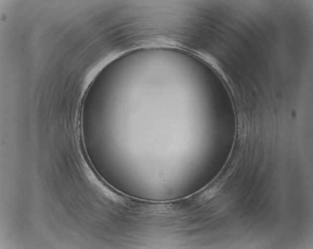 X0000055991387200509021627