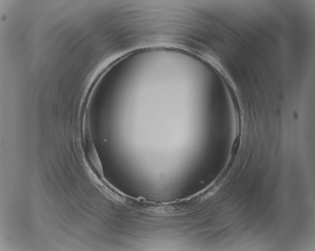 X0000055991388200509021627