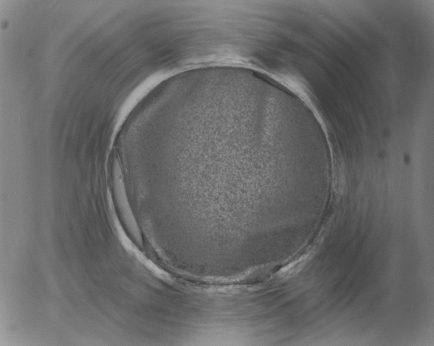 X0000055991389200509021627