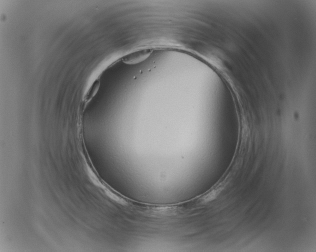 X0000055991390200509021627