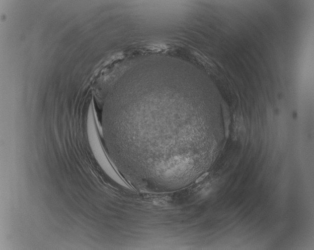 X0000055991394200509021626