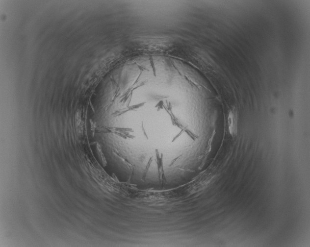 X0000055991395200509021626