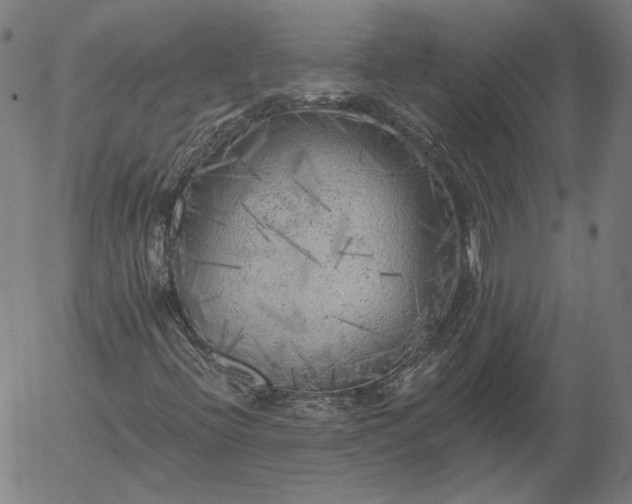 X0000055991396200509021626