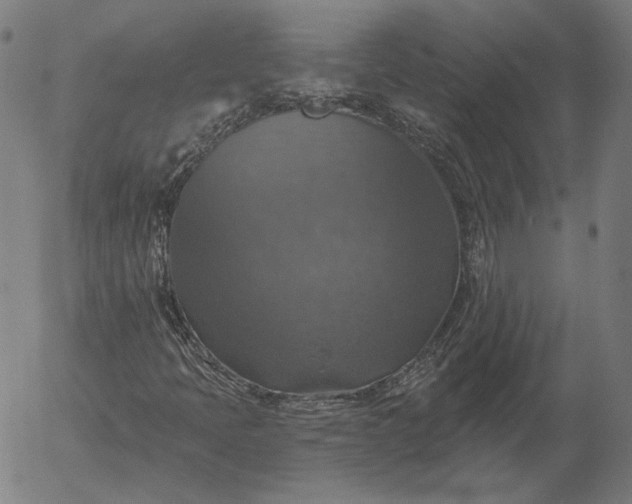 X0000055991397200509021626