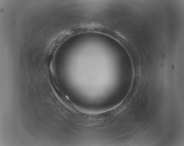 X0000055991398200509021626