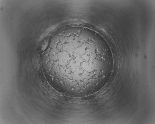 X0000055991399200509021626