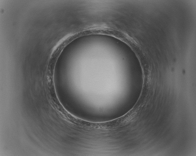 X0000055991400200509021626