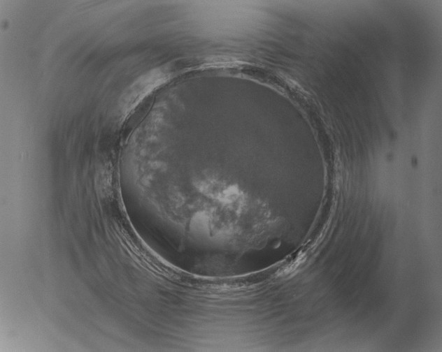 X0000055991401200509021626