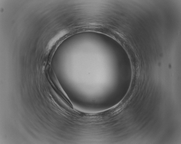 X0000055991402200509021626