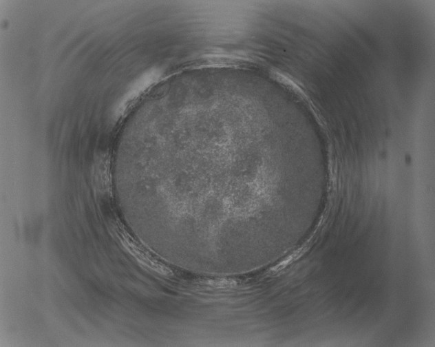 X0000055991403200509021626