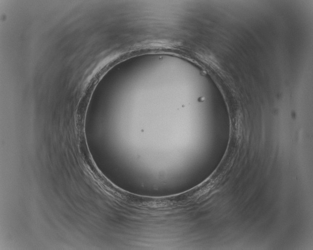 X0000055991404200509021626