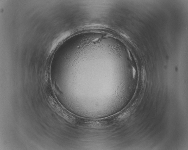 X0000055991405200509021626